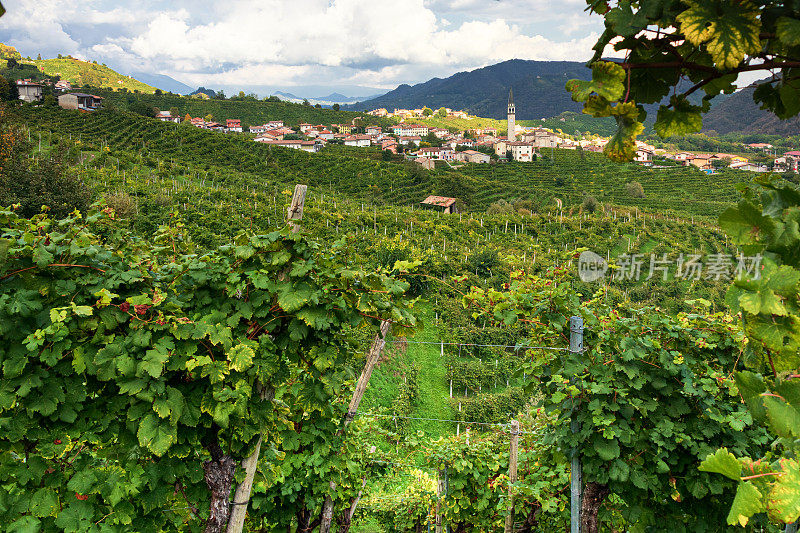 Guia,Valdobbiadene -秋天的普洛赛科山